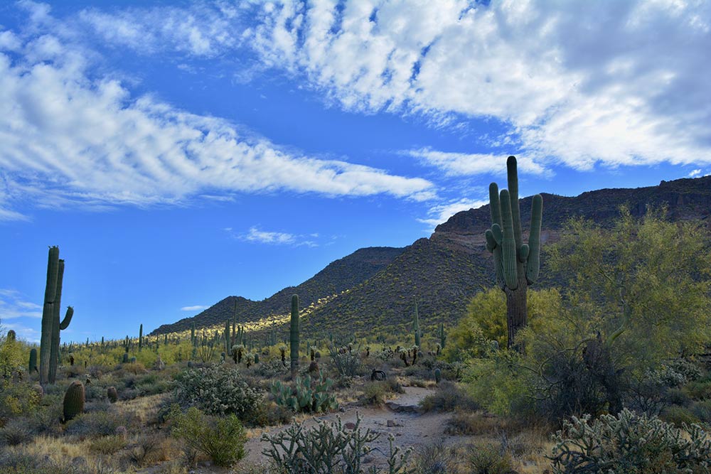 Beautiful Mesa, Arizona Desert